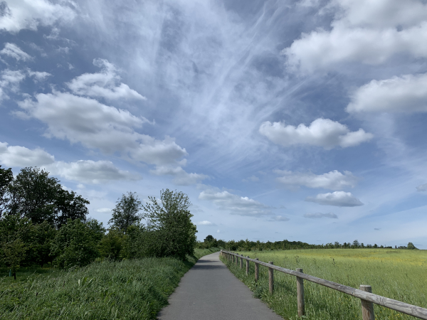 Après avoir contourné le centre ville par la rue des Sources, nous montons sur les Monts Trottins en suivant la piste cyclable.