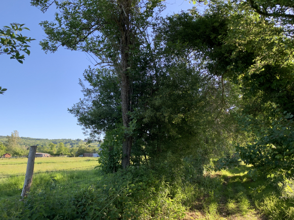 Nous partons en direction du nord-est, et après 200 mètres, trouvons le premier chemin : le Chemin des Croix.