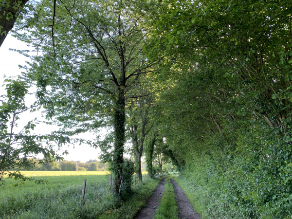 Le Chemin des Croix longe la vallée du Douet Hébert. Nous allons le quitter au niveau du lieu-dit La Vallée.
