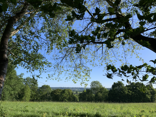 La Petite Forêt domine la vallée du Douet Hébert.