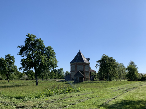 Nous arrivons au château du Pin, ici son vieux colombier. Nous ne pouvons éviter les D265A et D51 : le bois entre les deux est privé et clôturé, mais ça nous permet de découvrir le château du Pin.