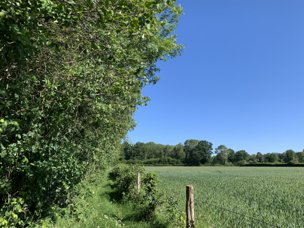 Après la D51, nous retrouvons les nombreux chemins de circuit.