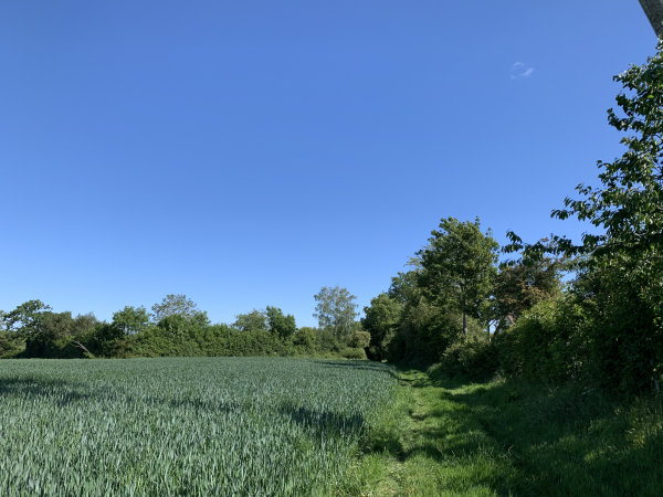 Plateau agricole du sud de Blangy, ici au lieu-dit des harots.