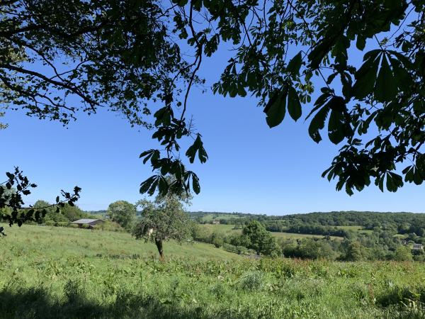 Les paysages typiques du Pays d'Auge de la vallée du Chaussey.