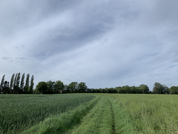 Nous arrivons au lieu-dit des Coutumes, nous allons tourner à droite le long des arbres.