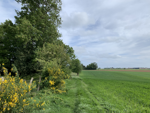 Nous contournons la ferme, toujours en direction de la D15.