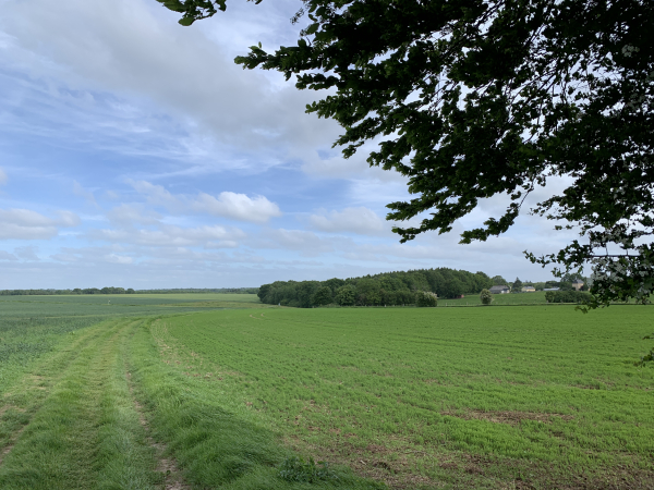 Nous marchons maintenant vers le nord en direction de l'impasse de la Folletière.