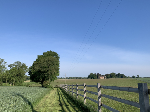 Voilà notre premier chemin, parfaitement entretenu comme on le voit, il nous dirige vers la D53 et le château de Bellevue.