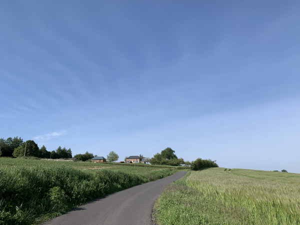 Nous quittons la forêt et montons la rue de la Cazerie.