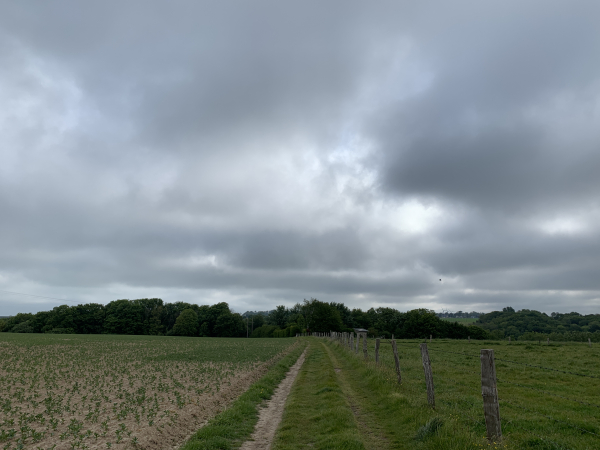 Au hameau Houlgate, nous marchons vers le bois que nous allons suivre pour descendre vers les Petites Dalles. Pas de crainte pour les nuages : ils se disperseront rapidement.