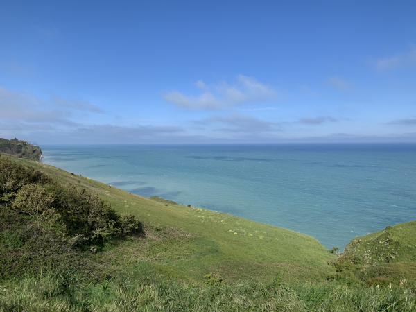 Le bélvédère permet d'observer la flore particulière de la lande côtière, et d'admirer les dégradés du vert au bleu de la mer.