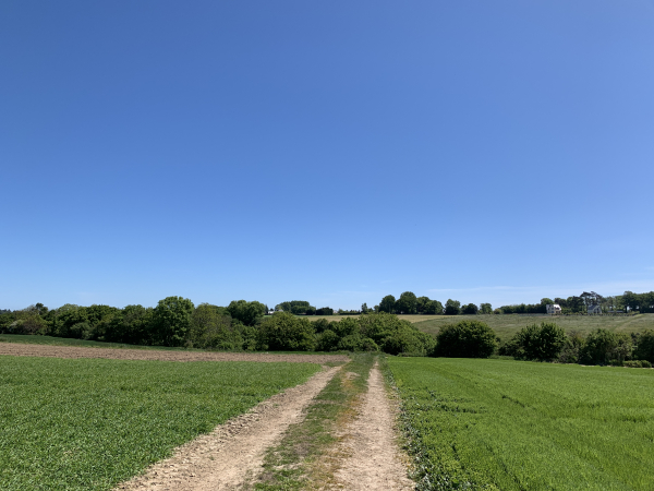Après le Champ de Calmare, nous descendons dans ce vallon boisé en face de nous, le Bois Joli.