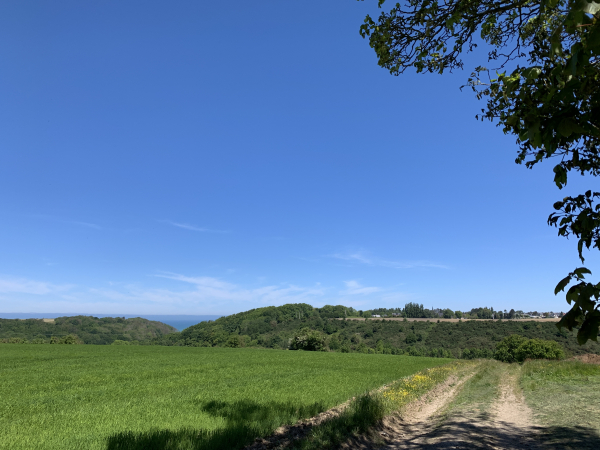 Nous traversons Ecreteville-sur-Mer, et descendons dans un nouveau vallon boisé.
