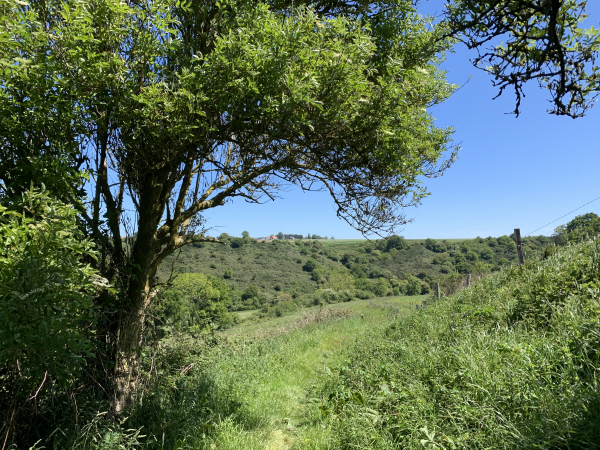 Les paysages de ce chemin de retour sont très variés, mais le parcours est plutôt sportif. Nous allons traverser ce vallon pour remonter en face vers Saint-Pierre-en-Port.