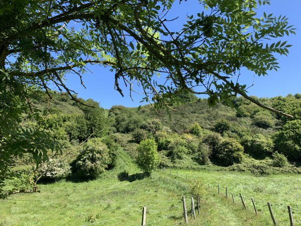 Descente dans le vallon.
