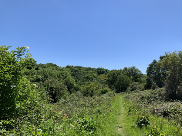 Remontée du vallon par la Côte du Marché.
