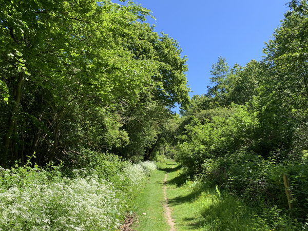 Nous longeons Saint-Pierre-en-Port sans y entrer, puis nous descendons dans le Bois Boulais où se trouve cette très agréable variante du GR21 qui nous conduit jusqu'à Sassetot-le-Mauconduit.