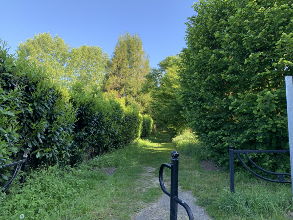 Après avoir suivi la rue du Cadran, nous entrons en forêt par le chemin du Val Becquerel.