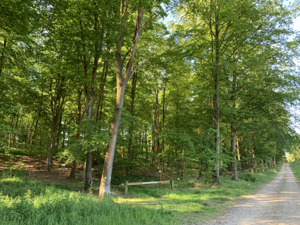 Nous quittons le chemin principal pour tourner à gauche et suivre le Sentier de Découverte des Câteliers.