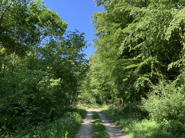 Nous allons bientôt quitter le chemin du Grand Val et revenir vers le nord-ouest.