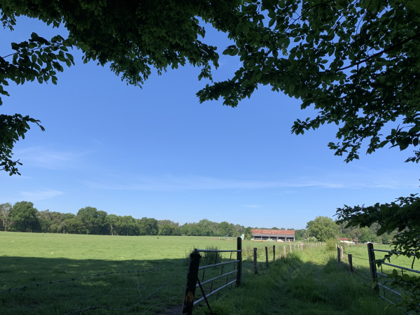 Chemin des Bruyères, nous voyons dans la clairières les bâtiments de la ferme des Bruyères de Montfort.