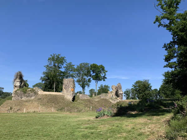 Et voilà les ruines du château médiéval de Montfort, sur le rocher qui domine Montfort et la vallée de la Risle. Un parcours est aménagé autour des ruines et dans la cour du château. Voir toutes les photos dans l'album de la randonnée.