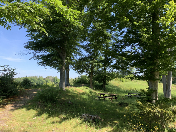 Une aire de pique-nique est aménagée près des ruines.