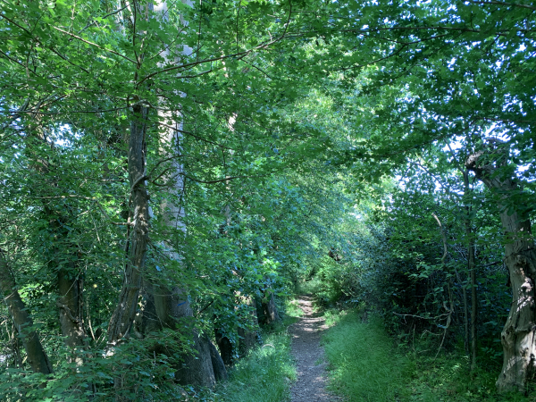 Un chemin ombragé relie directement le château au centre de Montfort-sur-Risle.