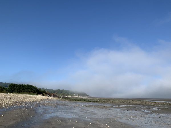 Regard arrière sur la plage. Les derniers nuages bas se dissipent.