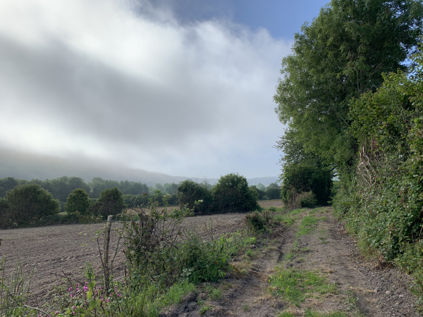 Chemin de la Forge, nous arrivons sur le plateau au niveau de la Cour Coeuret.