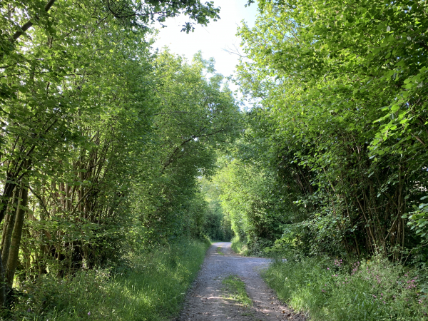 Chemin de la Forge, nous arrivons bientôt au chemin de la Cour Coeuret qui est goudronné.