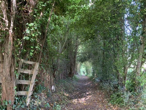Le Chemin des Héroults lui aussi traverse un vallon, nous y descendons en passage couvert.