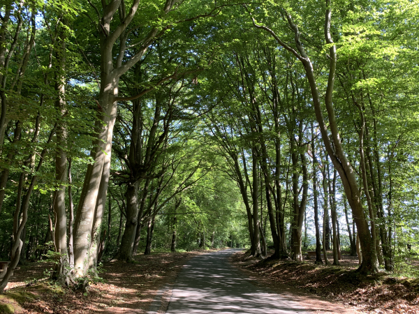 Le GR223 longe le bois du Val sur la rue Thomas Jean Montsaint. Deux aires de pique-nique sont aménagées dans le bois.