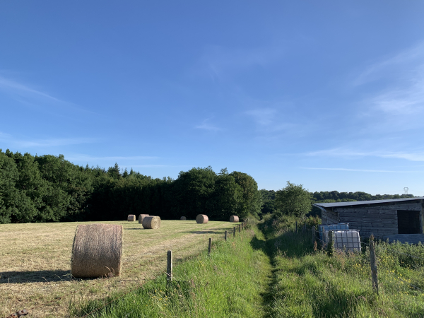 Nous partons de l'église de Saint-Arnoult, et rapidement arrivons sur le chemin qui longe le Bois du Parc.