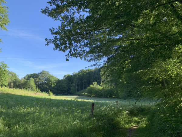 Nous arrivons dans le vallon du Chemin de la Messe.