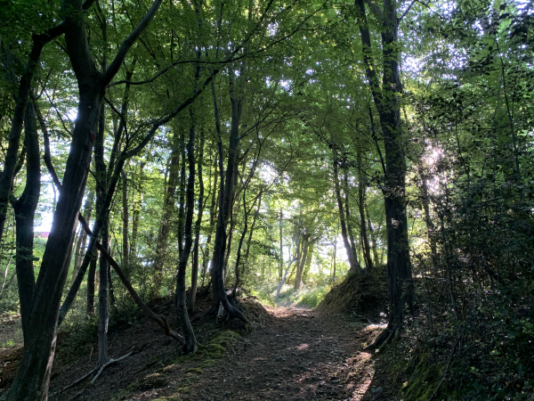 Nous avons traversé le vallon et montons vers le hameau de La Vente.