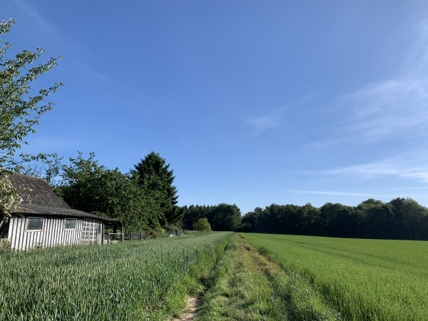 A La Vente, nous quittons la Haute Voie pour tourner dans ce chemin qui rejoint la forêt domaniale.