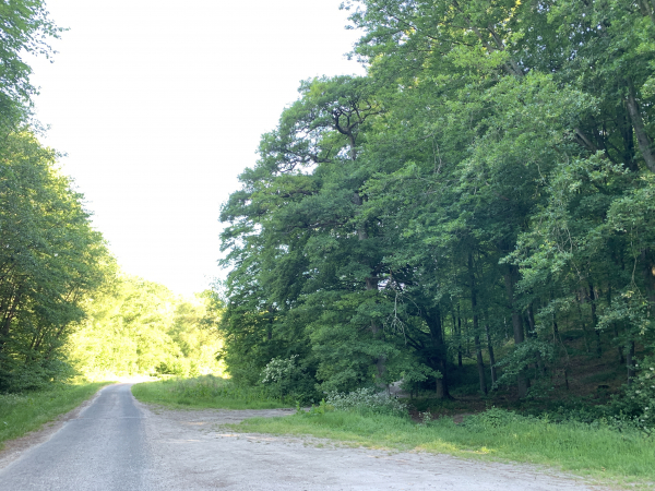 Nous arrivons au parking qui se trouve à la jonction de la Route des Vaux et du Chemin de l'Ourail. Nous allons commencer par suivre la Route des Vaux en face de nous.