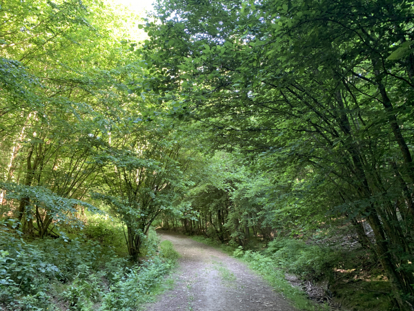 Nous rejoignons le GR211 au Val Godard et allons le suivre sur la colline de Cul-de-Sac.