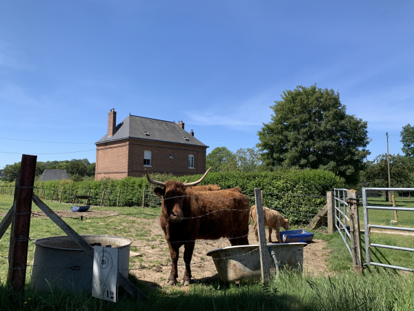 Nous sommes remontés à Saint-Arnoult par le chemin de la Basse-Voie et la D281.