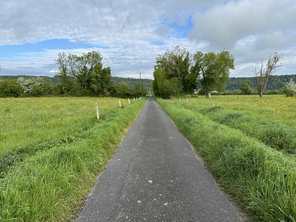 Nous suivons le Chemin de Villequier dans les marais. Comme le nom de cette petite route l'indique, il y a eu longtemps un passage d'eau entre Vatteville et Villequier, utilisé en particulier par les pilotes de Seine.