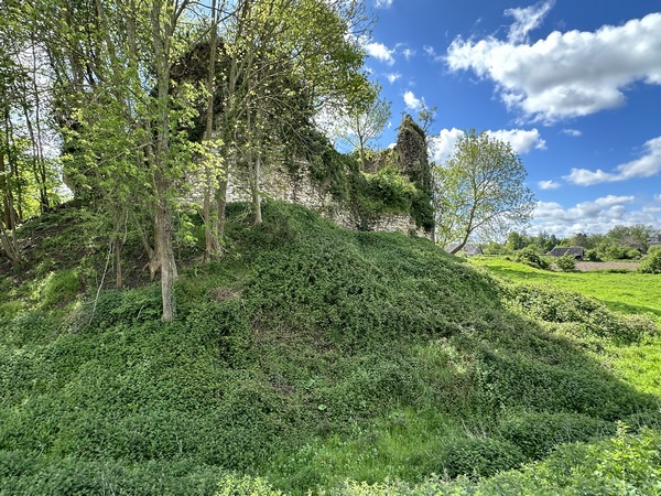 Nous arrivons près des ruines du château de Robert de Beaumont. Sur la motte féodale, on devine la tour polygonale. La cour et sa chapelle, se trouvaient sur la gauche, un pont-levis les reliait à la tour.