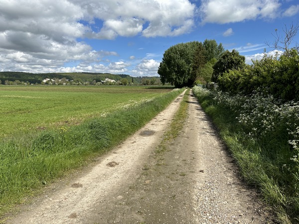 Nous suivons maintenant le chemin des Marais de Vatteville, vestige de la voie romaine de Pont-Audemer à Caudebec.