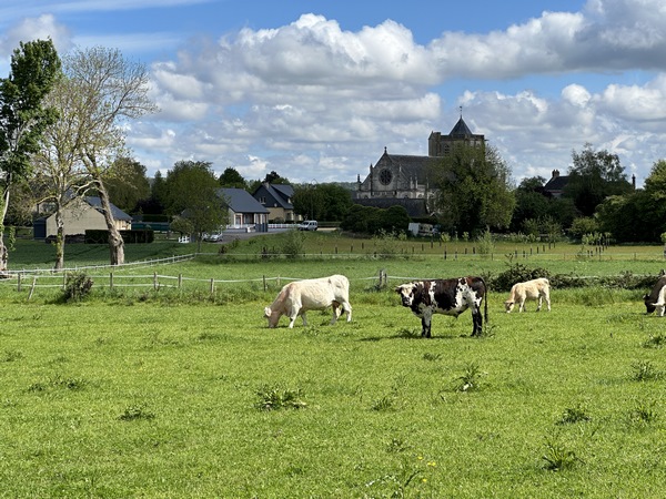 Nous entrons dans le bourg de Vatteville, dont on distingue déjà l'église Saint-Martin.