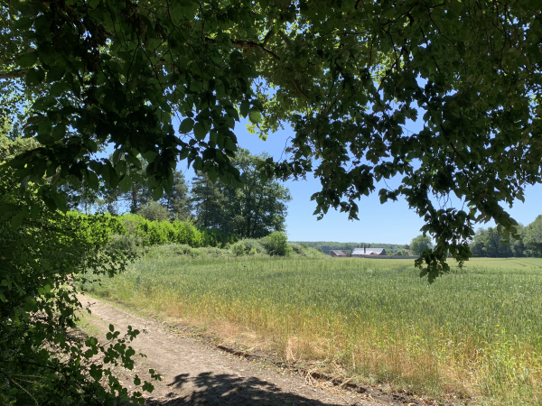 Nous sortons du bois aux Boscherons, suivons le chemin jusqu'au centre équestre, et sortirons brièvement du parcours balisé pour aller découvrir l'un des bétoires du cours souterrain de l'Iton.