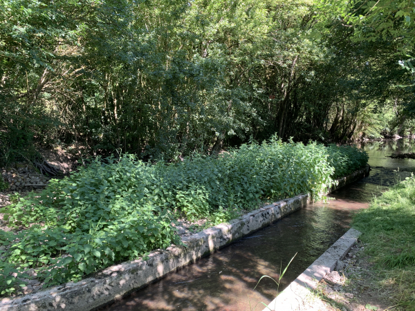 Ce bétoire est à proximité de la D55. Il est accessible par un étroit sentier le long du pont de la D55. Le bétoire se trouve à gauche de la photo, derrière les orties. Devant nous, les augets détournent l'eau du bétoire pour maintenir un débit minimum utile aux poissons et à l'élevage.