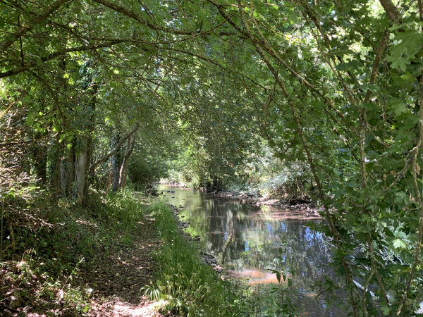 Nous reprenons le sentier dans l'autre sens pour revenir sur notre parcours.
