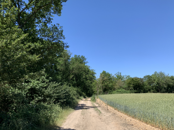 Nous longeons la rivière qui coule à notre gauche.