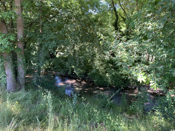 Notre chemin, ici, est tout proche du Sec-Iton.