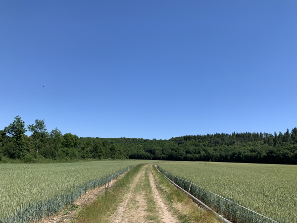Nous suivons le vallon du Sec-Iton, bordé par les bois du la Côte du Fourneau et de la Côte des Haisettes.